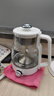 金灶（KAMJOVE）煮茶器 喷淋式煮茶玻璃养生花茶壶 电热水壶煮茶壶1L蒸茶器A-57 摩登白 1L 实拍图