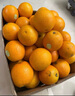云冠橙净重10斤装2025褚橙官方云南冰糖橙当季新鲜水果礼盒橙子产地直发 一级果云冠橙 5kg 实拍图