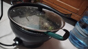 先科 电炒锅不粘锅家用多功能电热锅电火锅蒸锅煮锅炖锅电锅插电炒菜锅1-9人 陶晶不粘锅 24CM单笼【1300W两灯1-2人】 实拍图