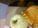 甜醉了 奶油富士脆甜烟台苹果黄金富士山东水果栖霞红富士应季丑苹果 净重8.5斤75-80mm 实拍图