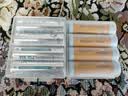 德力普（Delipow）5号磷酸铁锂电池14500大容量900毫安相机充电电池3.2V 适用富士拍立得instax mini7/8/9/11/40等 实拍图