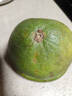 京愿 泰国青柚泰柚柚子蜜柚时令柚子新鲜白心青皮蜜柚子 净重3.8-4.5斤精选2枚 实拍图