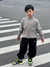 左西男童毛衣纯色儿童加厚秋装2025新款男孩大童秋冬线衣 灰色 120 实拍图