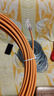 PANDUIT 泛达超六类细网线CAT6A类跳线家用电脑宽带POE监控万兆高速成品线 赤茶橘 15米 实拍图