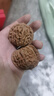 彩荷文玩核桃赌青皮麻核桃四座楼狮子头闷墩磨盘把件 盘龙纹狮子头(54-55mm一对) 实拍图