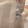 三枪（THREEGUN）女士内裤女纯棉高腰大码新疆棉纯色全棉裆透气弹力三角裤头3条装 组合1 （浅粉+妃+妃） 3条 L (165/90) 实拍图