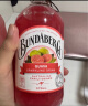 宾得宝（Bundaberg）含气蜜桃汁饮料 375ml*6玻璃瓶装 澳州进口网红发酵果汁气泡水 实拍图