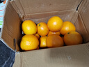 倾睦褚橙花斑果 云南冰糖橙纯甜花皮橙子手剥橙果冻橙新鲜水果原箱 5斤 中果【单果65-70mm】 实拍图