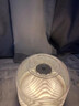 德国进口工艺加湿器小型静音家用宿舍桌面空气补水孕妇婴儿大雾量 白色【700ml大容量+独立灯光】 实拍图