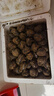【荔浦荸荠】现挖特大荔浦马蹄荸荠清甜多汁新鲜水果广西桂林特产 【净重5斤】中大果 果径≥3cm 实拍图