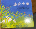 信谊世界精选图画书-逃家小兔【3-8岁】纽约时报年度儿童图书 畅销7万册 名师王林、瑞玛推荐童书绘本 实拍图