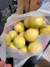 果迎鲜黄金百香果 新鲜水果 钦蜜9号 热带西番莲 鸡蛋果酸甜爽 20个装单果45-60g 实拍图