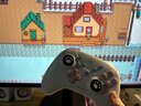 aolion澳加狮洛可可Agan阿感游戏手柄Switch2手柄Pro无线蓝牙NS2暴吵萌厨PC电脑版Steam安卓IOS手机手柄 云露莓 实拍图