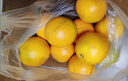 云冠橙4.5斤装褚橙官方正品云南冰糖橙当季新鲜水果礼盒原产地橙子 4.5斤优级L果 实拍图