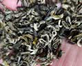 大明山 绿茶茶叶 中国广西农垦茗茶 碧螺春绿茶125克1袋 实拍图