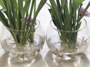 以琛水培植物玻璃瓶 绿萝花瓶花盆玻璃圆球水养鱼缸器皿容器送定制栏 10圆球 实拍图