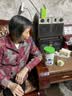 宜品仨控纯羊奶粉中老年成人奶粉三高糖尿可食用无蔗糖奶粉送礼  一罐基础装【推荐买3罐送1罐】 实拍图