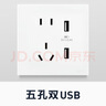 罗格朗（LEGRAND）tcl插座面板画采白色五孔开关USB家用二三插86型暗装墙壁电源插座 双USB五孔插座 实拍图