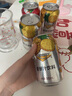 瑞丽江云南特产菠萝汁310mlx24瓶菠萝啤果汁饮料整箱夏季冰爽饮品 310mL12瓶1箱 实拍图