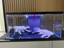 喜高超白玻璃鱼缸智能鱼缸免换水小型客厅水族箱一体式过滤氧气鱼缸 黑色-鱼缸标配 600*260*330mm 实拍图