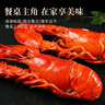 鲜驰熟冻 波士顿大龙虾波龙加拿大进口虾类活虾大龙虾海鲜 波士顿龙虾 净重400-500g*2只 实拍图