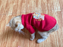 派乐特猫咪衣服拜年服冬季防掉毛新年宠物狗狗小型犬加绒保暖过年圣诞M 实拍图