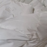京东京造Duvet D'oie杜唯朵90%白鹅绒分区锁温复合羽绒被子1400g- 2*2.3M 实拍图