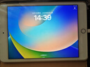 Apple苹果iPad mini5/6 iPadair3/4 2021款iPadPro二手平板电脑 iPad mini5 256G WIFI版 99成新 实拍图