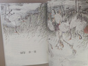 草房子精装典藏原著正版图书 完整无删减版插图画曹文轩纯美小说系列四五六年级小学生必读课外书经典文学名著 语文老师推荐暑假阅读书单同步人教版教材配套阅读 全国优秀儿童文学获奖读物书籍国际安徒生奖作者书目 实拍图