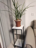 藏秀阁 铁艺花架客厅盆景装饰架绿萝架落地多层简约置物架 白石纹板材+黑色架子 长30*宽30*高80CM 实拍图