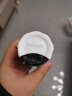 盛源来甘梅粉100g鸡排地瓜条撒料正宗青梅梅子味酸梅粉沾水果西安梅粉 实拍图