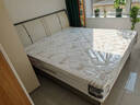 华庭梦思硬床垫 席梦思天然乳胶环保椰棕独立弹簧1.5 1.8米软硬两用定制 尊贵型-独立弹簧+天然乳胶+海棉 180cm*200cm 实拍图