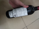 KAKTOS仙人掌【锋芒系列】赤霞珠干红进口酒 750ml*6 价保双11 热门商品 实拍图