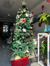 多美忆圣诞树套餐圣诞装饰品家用商场酒店氛围布置豪华加密1.8米圣诞树 实拍图