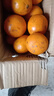 尔蝶广西沃柑新鲜橘子当季时令水果桔子整箱砂糖蜜橘柑橘应季水果礼盒 精选3斤装 净重2.8斤 大果60-70mm 实拍图