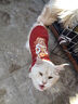 憨憨宠 狗狗衣服 猫衣服宠物衣服变身装猫咪衣服中小型犬幼犬秋冬服装 小舞狮款 XL号建议体重10-18斤 实拍图