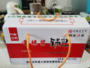 云岭云岭原味大米锅巴童年怀旧办公室解馋零食追剧休闲食品小吃整箱 香辣酱56g*24袋（含酱包） 实拍图