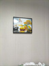 柳莺花燕免打孔电表箱装饰画现代简约客厅餐厅挂画电闸箱配电箱遮挡壁画 家和富贵 45X35遮挡35X25 液压款 实拍图