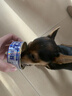 益伴A/D犬康复处方罐95g*1罐狗狗处方粮主食罐产后月子餐绝育术后营养 实拍图
