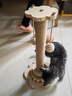 喵丽丝猫抓板猫爬架一体耐磨不掉屑剑麻抓柱耐抓逗猫棒猫咪玩具自嗨解闷 【品质款】四合一猫抓柱50cm 收藏加购优先发货 实拍图