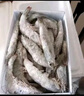 颐晟泰 虾 青岛大虾鲜活海捕虾类 基围虾生鲜青虾白虾海虾海鲜水产 盐冻 12-13cm 1.65kg(净重) 实拍图