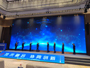 回力男士羽绒棉马甲2023新款秋冬季无袖背心休闲坎肩加厚马甲 M66黑色  支持logo定制 XL 实拍图