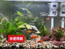 印俏 净水活性炭袋装饮用水自来水井水过滤家用净水器滤芯椰壳碳水厂 2斤小粒低碘 实拍图