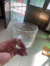 乐唯诗（NERVISHI）玻璃杯高颜值水杯透明玻璃牛奶杯带把ins风奶茶杯早餐杯茶杯 兰特杯裸杯- 440ml 1只 实拍图