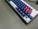 飞利浦（philips） 机械键盘鼠标套装 有线键盘 游戏办公键盘台式笔记本电脑键盘104键打字键盘 深蓝白红三色经典版（红轴） 实拍图