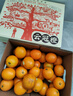 云冠橙 云南冰糖橙  一级果 净重10斤 单果约100g 生鲜水果源头直发 实拍图