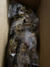 楼兰蜜语 HONEY WEST半边梅400g蜜饯果干休闲零食李梅果脯原色特产小吃 实拍图