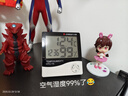 志高（CHIGO）温度计室内 家用温湿度计高精度电子室温计时钟干湿温度计 HTC-1S 实拍图