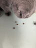 珍致猫（FancyFeast） 猫饼干喵脆之吻洁齿高蛋白营养猫饼干 海鲜三文鱼和吞拿鱼60g*10袋 实拍图