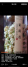 陌上花开 茉莉花茶 茉莉花苞养生茶茉莉花蕾花草茶 精美玻璃瓶包装顺茶叶产地30g/罐 实拍图